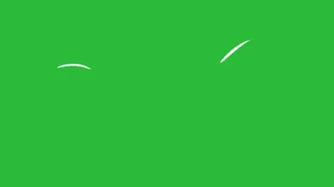 Hand Drawn 2D Animation Ground Impact Dust Shockwave Overlay on Green Screen Stock Footage 339335393