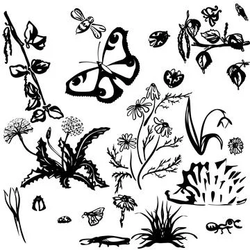 Hand drawn a4 spring frame. Rustic decorative vector design elements. Stock Illustration