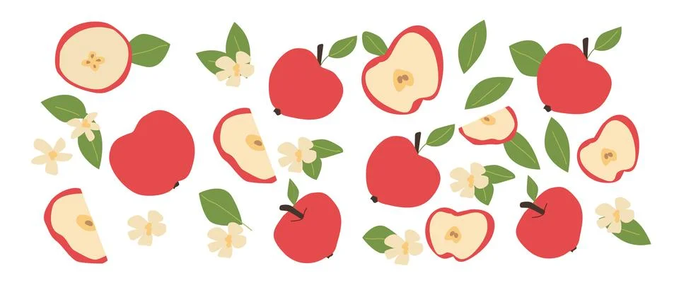 Hand drawn abstract apple fruit plant set. Whole fruit, slices, pieces and Stock Illustration