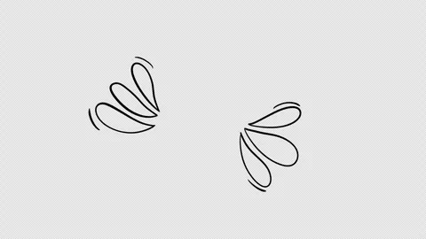Hand drawn abstract drop elements splash or wings black line art doodle Stock Footage 335234520