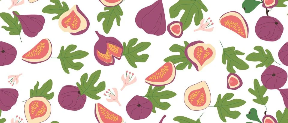 Hand drawn abstract fig pattern with plant parts and sliced food. Cute Stock Illustration