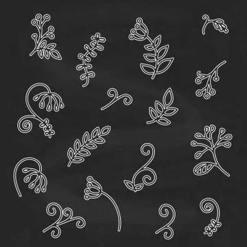 Hand drawn abstract floral elements, sketch style Stock Illustration