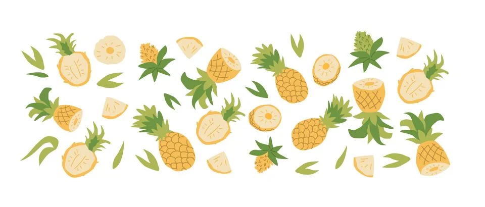 Hand drawn abstract fruit pineapple plant set. Whole fruit, slices, pieces and Stock Illustration
