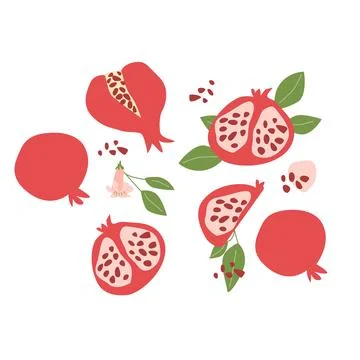 Hand drawn abstract fruit pomegranate plant set. Whole fruit, slices, pieces and Stock Illustration