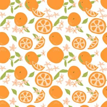 Hand drawn abstract orange pattern with plant parts and sliced food. Cute Stock Illustration