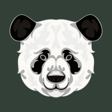Hand drawn abstract portrait of a panda. Vector stylized colorful illustratio Stock Illustration