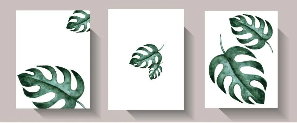Hand drawn abstract set boho watercolor tropical leaf monstera with isolated on Stock Illustration