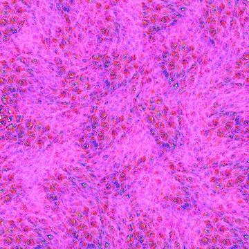 Hand-drawn Abstract Texture. Scribble Graphics. Abstract background. Stock Photos