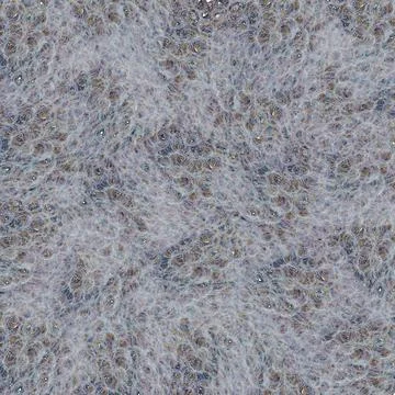 Hand-drawn Abstract Texture. Scribble Graphics. Abstract background. Stock Photos