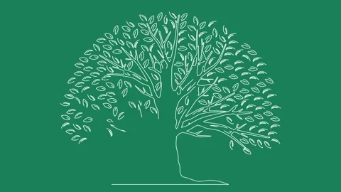 Hand drawn Abstract Tree art line stroke Animation Stock Footage 241073151
