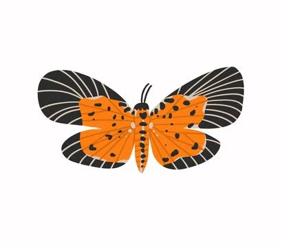 Hand drawn abstract vector clipart illustration collection with butterfly and Stock Illustration