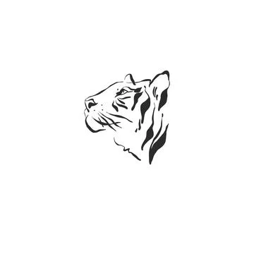 Hand drawn abstract vector graphic illustration collection with stylized line Stock Illustration