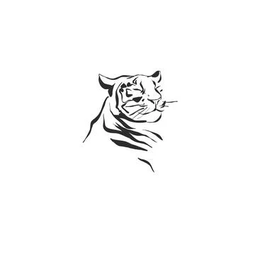 Hand drawn abstract vector graphic illustration collection with stylized line Stock Illustration