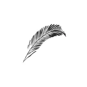 Hand drawn abstract vector graphic illustration collection with stylized line Stock Illustration