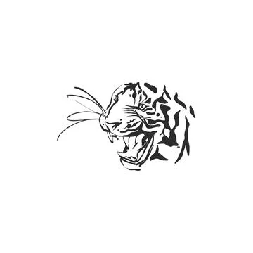 Hand drawn abstract vector graphic illustration collection with stylized line Stock Illustration