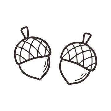 Hand drawn acorns vector illustration Stock Illustration