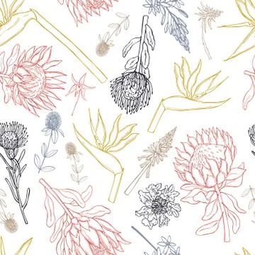 Hand drawn African flowers. Vector seamless pattern Stock Illustration
