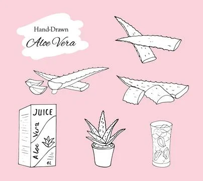 Hand drawn aloe vera set Stock Illustration