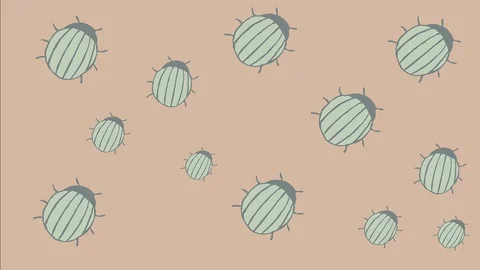 Hand drawn animated bugs run up Stock Footage 116912567