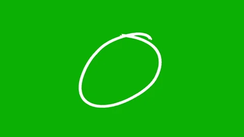 Hand drawn animated circle looping on a green screen background Stock Footage 341403428