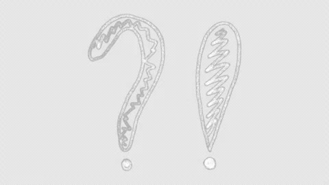 Hand drawn animated doodle of question mark and exclamation point. Video clip wi Stock Footage 278184781