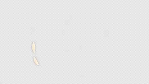 Hand drawn animated doodles visual effects: drop, wave, explosion, lightening. V Stock Footage 308073081