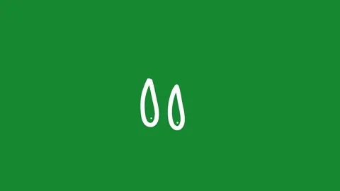 Hand Drawn Animated Falling Raindrops Water Doodle on Green Screen Vidéo 334579461
