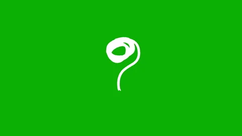 Hand-drawn animated question mark on a green screen background Stock Footage 341403432
