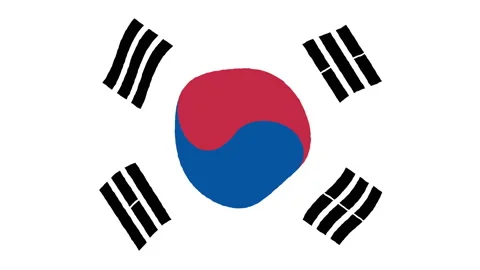 Hand Drawn Animated Wavy Flag of South Korea Loop Background on White Field 库存影片 204007749