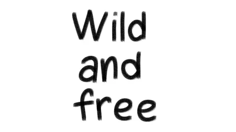 Hand drawn animated wiggle word Wild and free. Charcoal texture text. Video stock 157760828