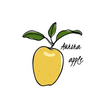Hand drawn apple Stock Illustration