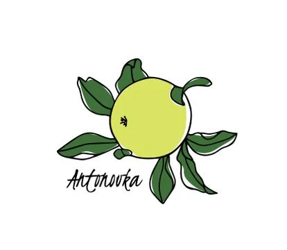 Hand drawn apple tree branch Stock Illustration