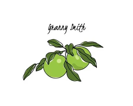 Hand drawn apple tree branch Stock Illustration