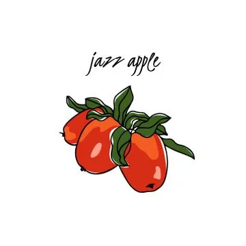 Hand drawn apple tree branch Stock Illustration