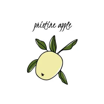 Hand drawn apple tree branch Stock Illustration