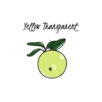 Hand drawn apple tree branch Stock Illustration