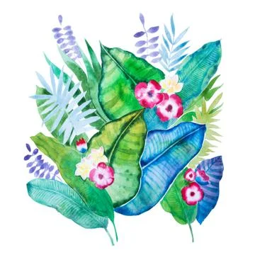 Hand-drawn aquarelle composition of tropical leaves and flowers isolated on Stock Illustration