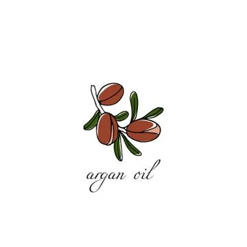 Hand drawn argan tree branch Stock Illustration