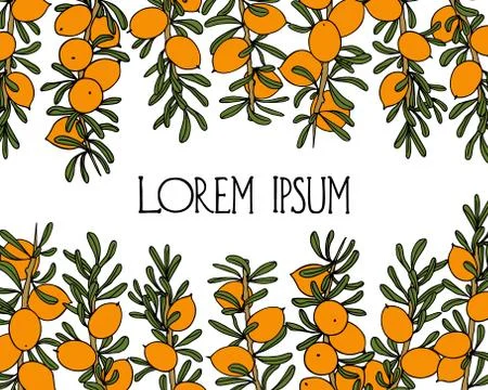 Hand drawn argan tree branch Stock Illustration