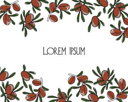 Hand drawn argan tree branches Stock Illustration