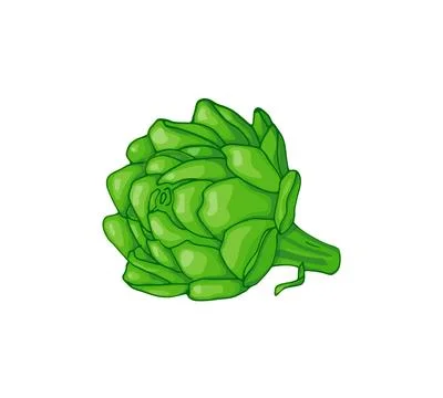 Hand drawn artichoke head Stock Illustration