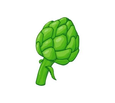 Hand drawn artichoke vegetable Stock Illustration