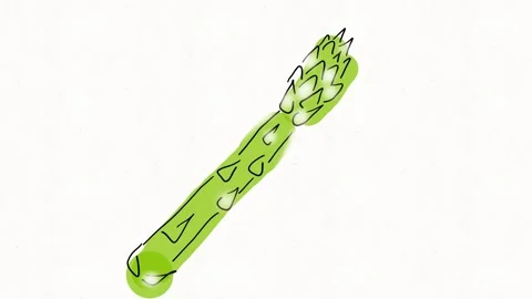 Hand Drawn Asparagus Icon Animation Stock Footage 338000165