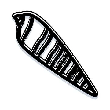 Hand drawn auger shell outlining marine life 스톡 일러스트