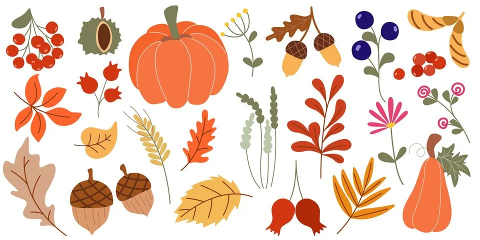 Hand drawn autumn elements set Stock Illustration