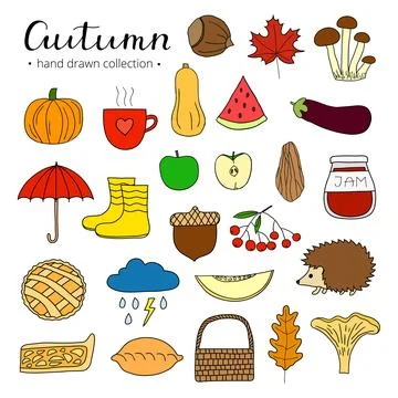 Hand drawn autumn items set. Stock Illustration