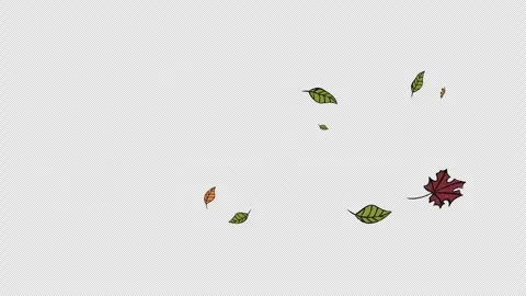 Hand Drawn Autumn Leaves Falling 2D Animation Transparent Background Cartoon 库存影片 334608961