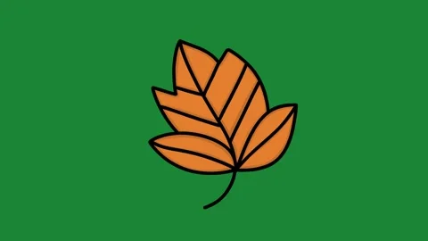 Hand-Drawn Autumn Maple Leaf 2D Animation on Green Screen | Falling Orange Fall  Vidéo 334608848