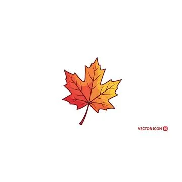 Hand drawn autumn maple leaf illustration with warm fall colors vector Stock Illustration