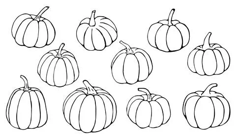 Hand Drawn Autumn Pumpkin Collection Set Different Shapes Line Art Doodle I.. Stock Illustration